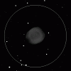      : NGC 7293 Helix Nebula 6  50 N  E .gif : 147 : 6.5  ID: 108261