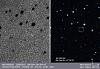      : AS03D20 - C2012 S1 (ISON) 22 09 2012 overview C23.jpg : 42 : 73.7  ID: 118305
