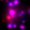      : Trumpler 14 (Tr 14) central region Chandra (X-ray) Carina _ 1.jpg : 12 : 122.0  ID: 119738