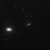      : Jaws Harrington Star 21  M 104.gif : 31 : 110.0  ID: 120841