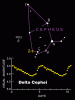 Нажмите на изображение для увеличения Название: Alrediph (Del Cep) Cepheus _ A.gif Просмотров: 49 Размер: 33.9 Кб ID: 121584