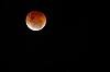      : Total Lunar Eclipse 08 10 2014 _ Nouvelle Caldonie _ 1.jpg : 73 : 90.8  ID: 138700