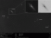      : ASASSN-14lp (Ia) _ NGC 4666 Superwind Galaxy (UGC 7926) Virgo _ 11 12 2014 _ Adriano Valvasori.gif : 34 : 86.9  ID: 139686