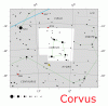      :  (Corvus)   (Sail asterism), Spica's Spanker asterism _ 1.gif : 312 : 78.9  ID: 119633
