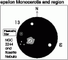      : Plasketts Star (HR 2422) Monoceros, Unicorn _ 1.gif : 89 : 13.1  ID: 126100