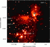      : Trapezium, Orion Trapezium Cluster (Theta 1 Orionis) _ 5.gif : 305 : 89.0  ID: 112947