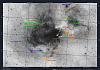      : Messier 17 + IC 4706 & IC 4707 (Sagittarius) _ 2.jpg : 60 : 222.4  ID: 126427